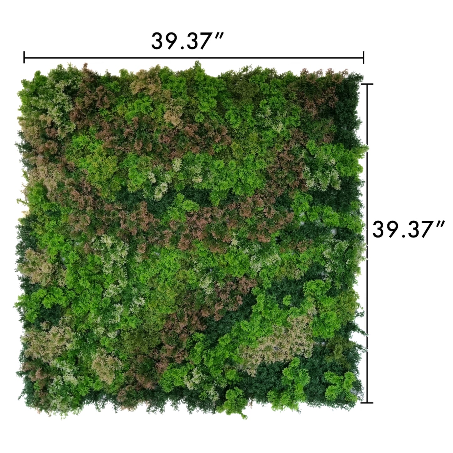 green outdoor foliage decor