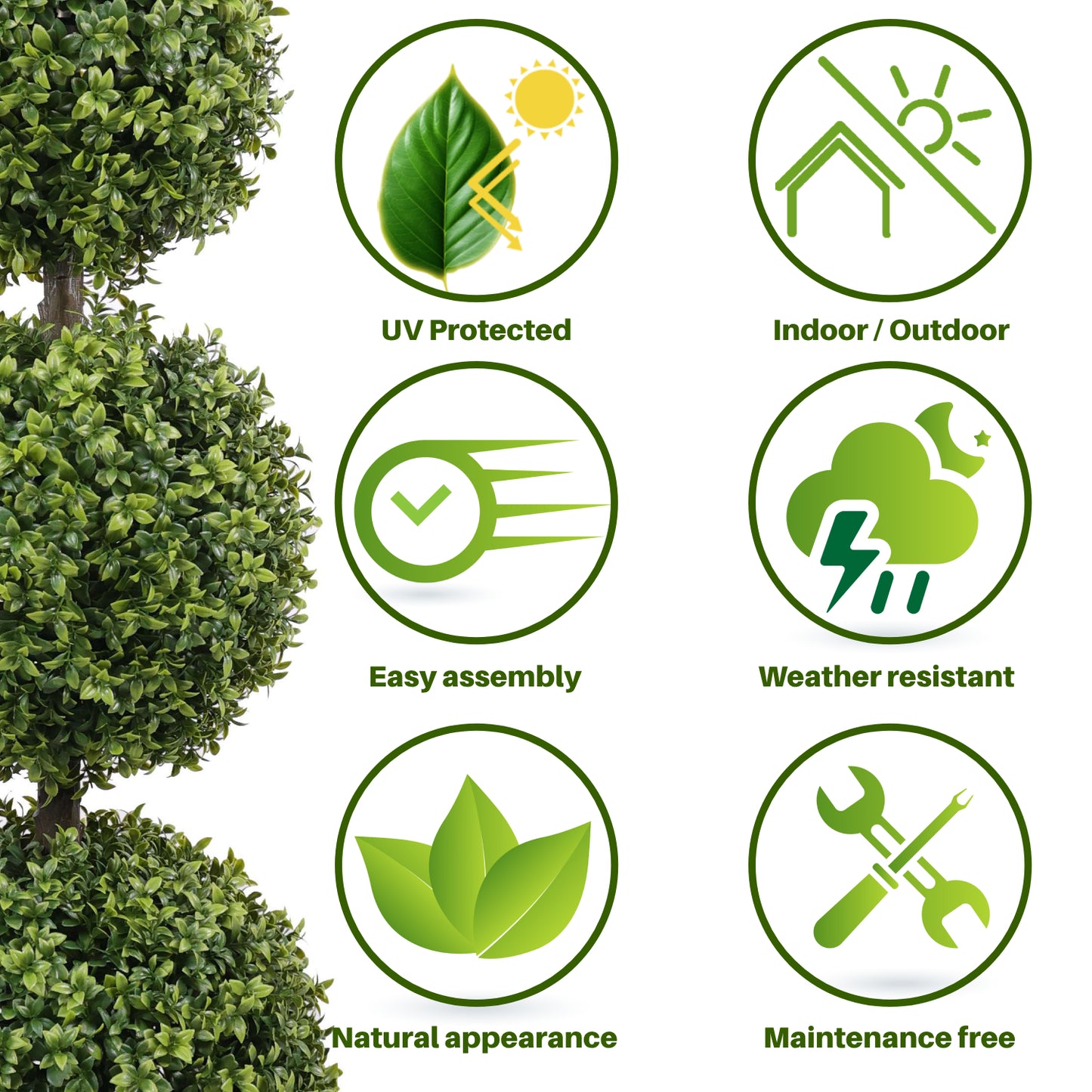 Attributes Boxwood