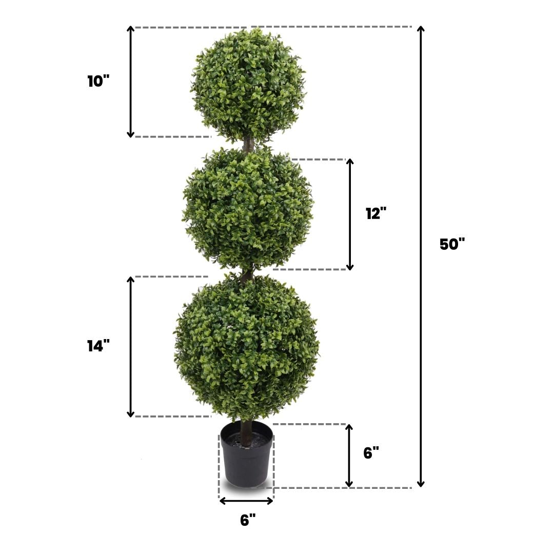 Boxwood Tree Weather Resistant