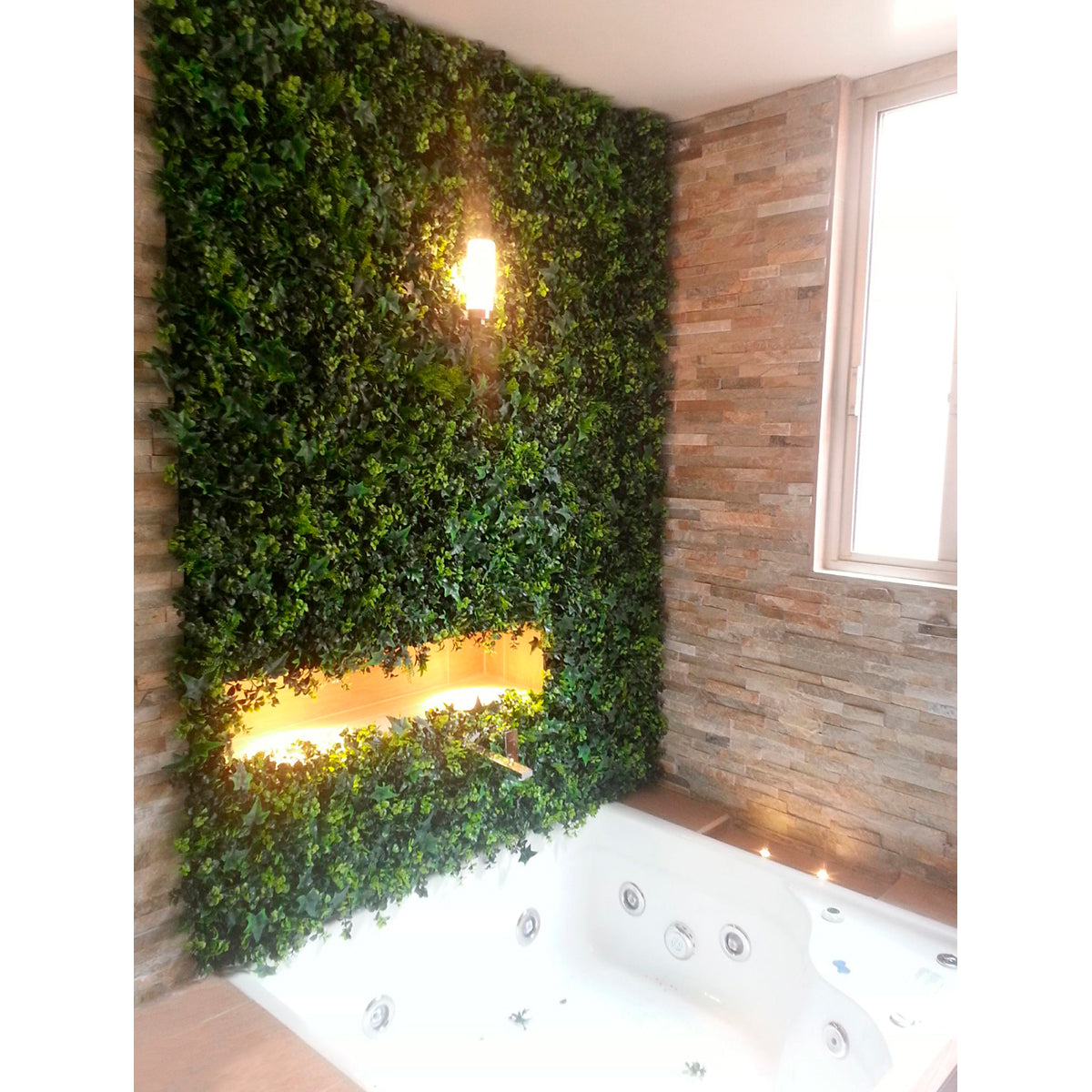 Evergreen Ivy
