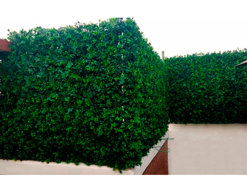 Expandable fence