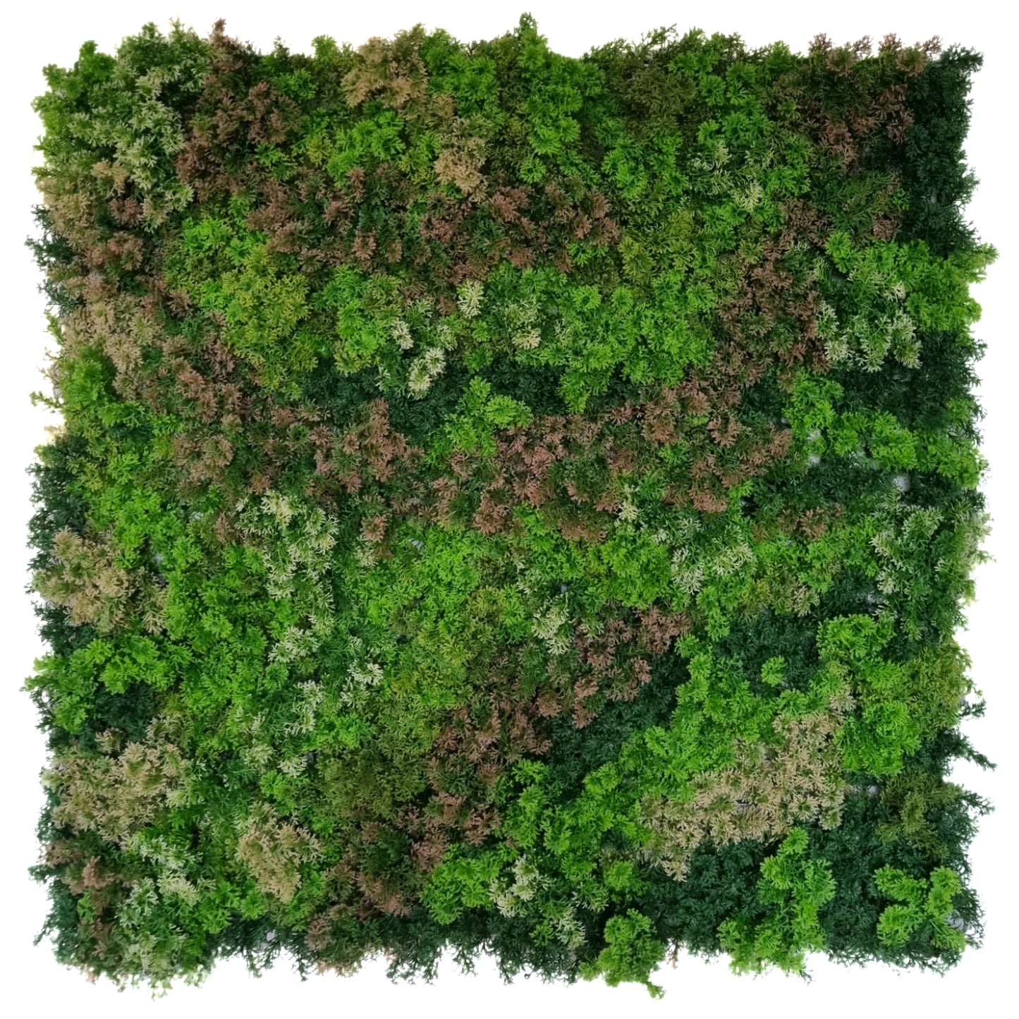 green foliage for outdoor decor