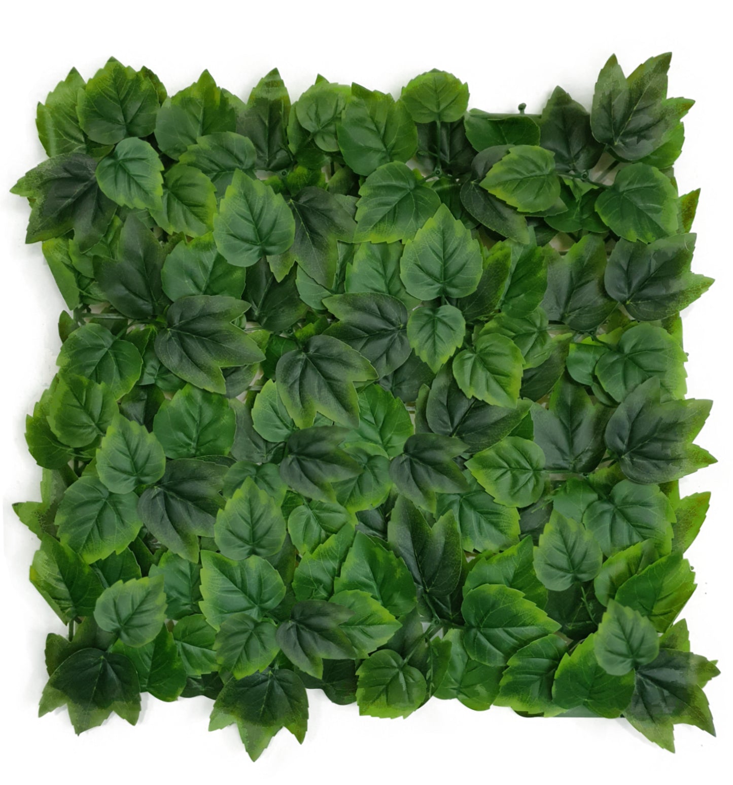 green foliage for outdoor decor