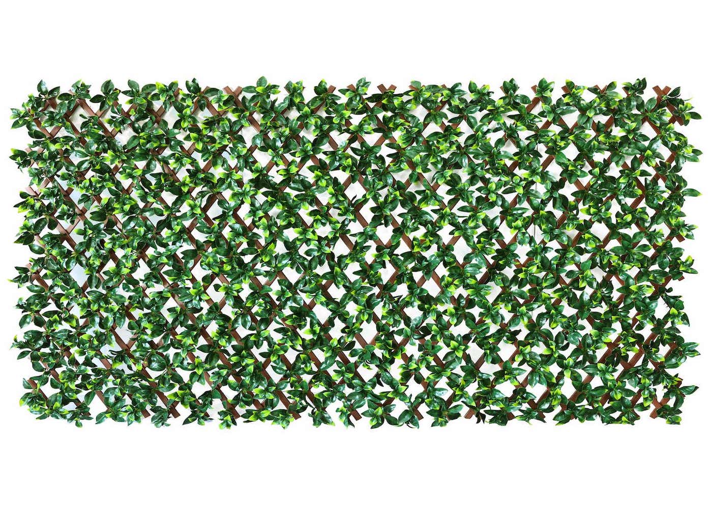 Expandable lattice outdoor decor