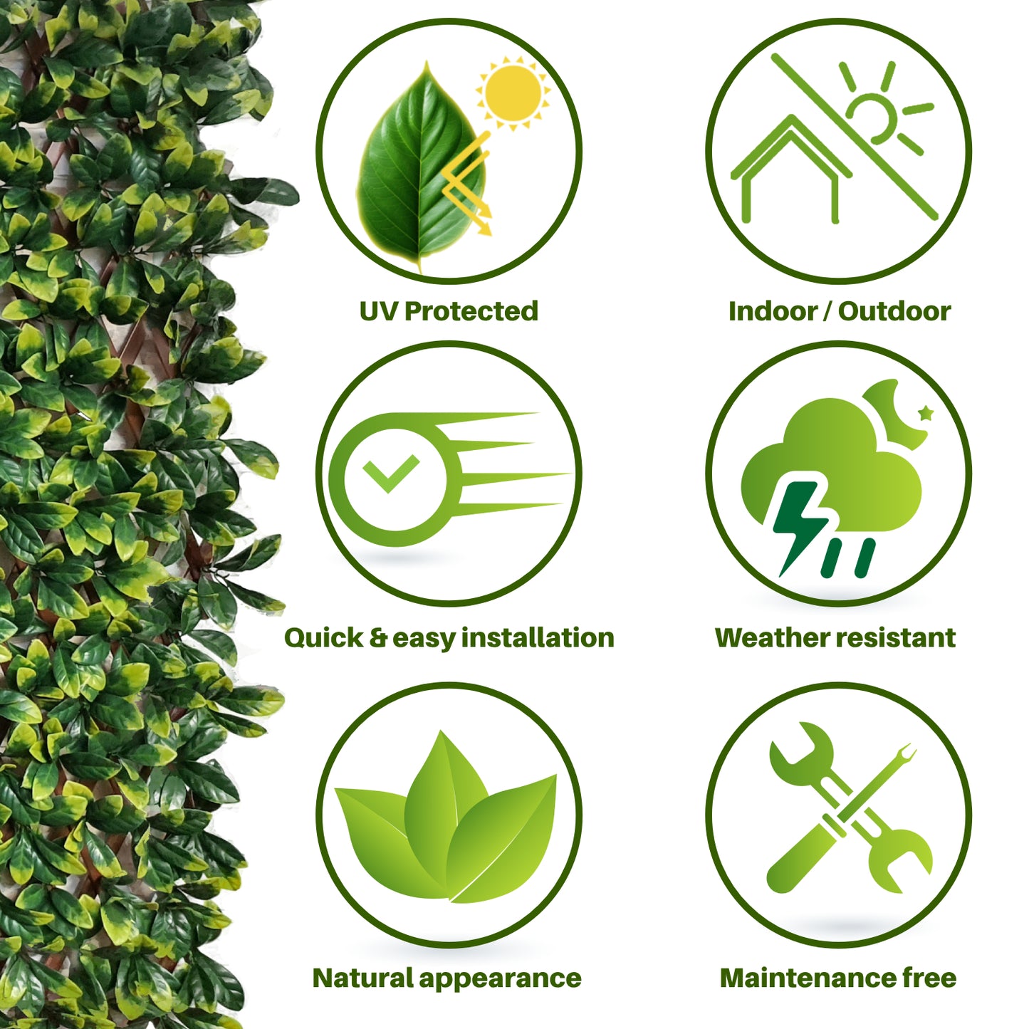 Garden wall plants