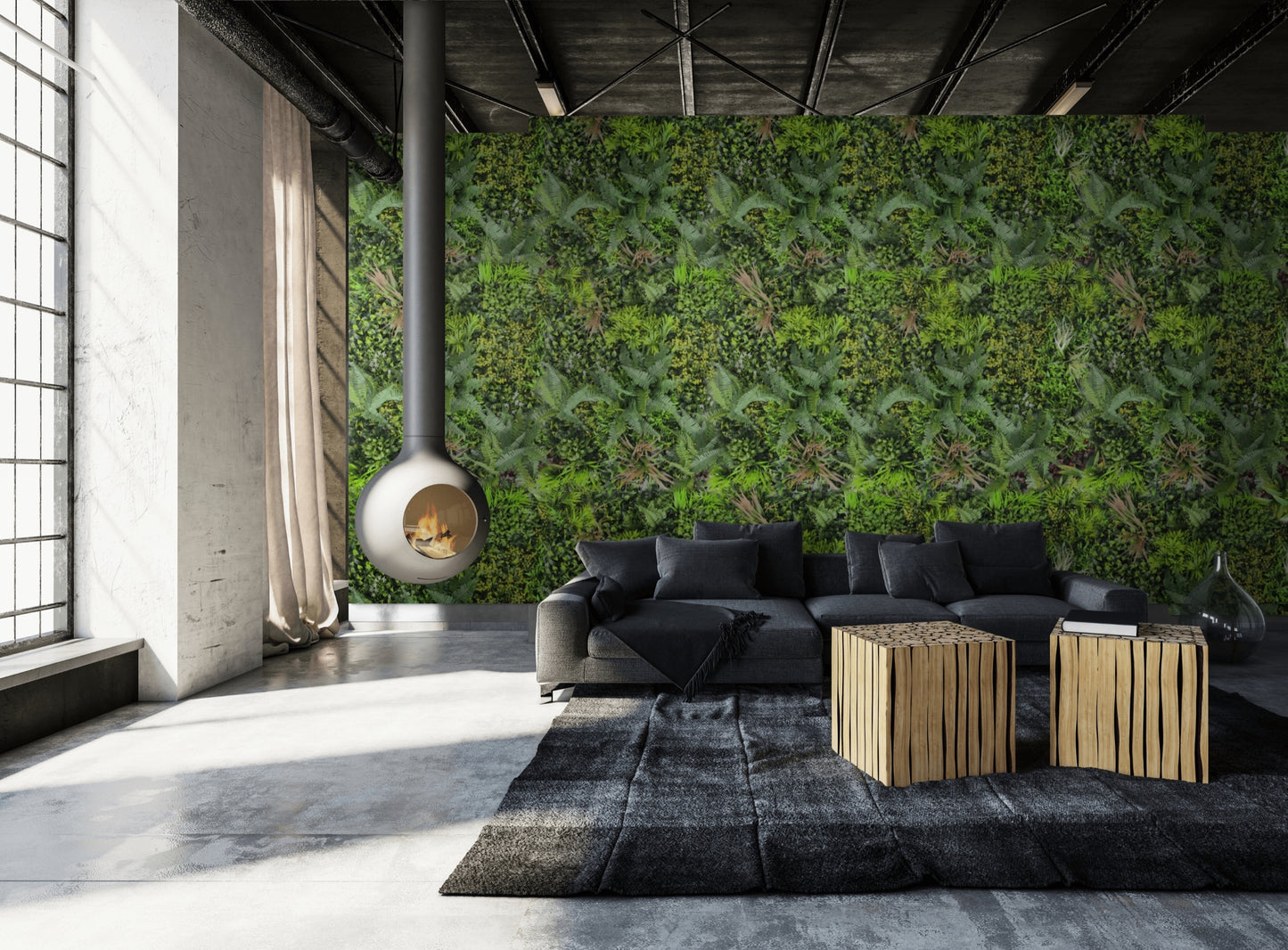 Hedge Plant