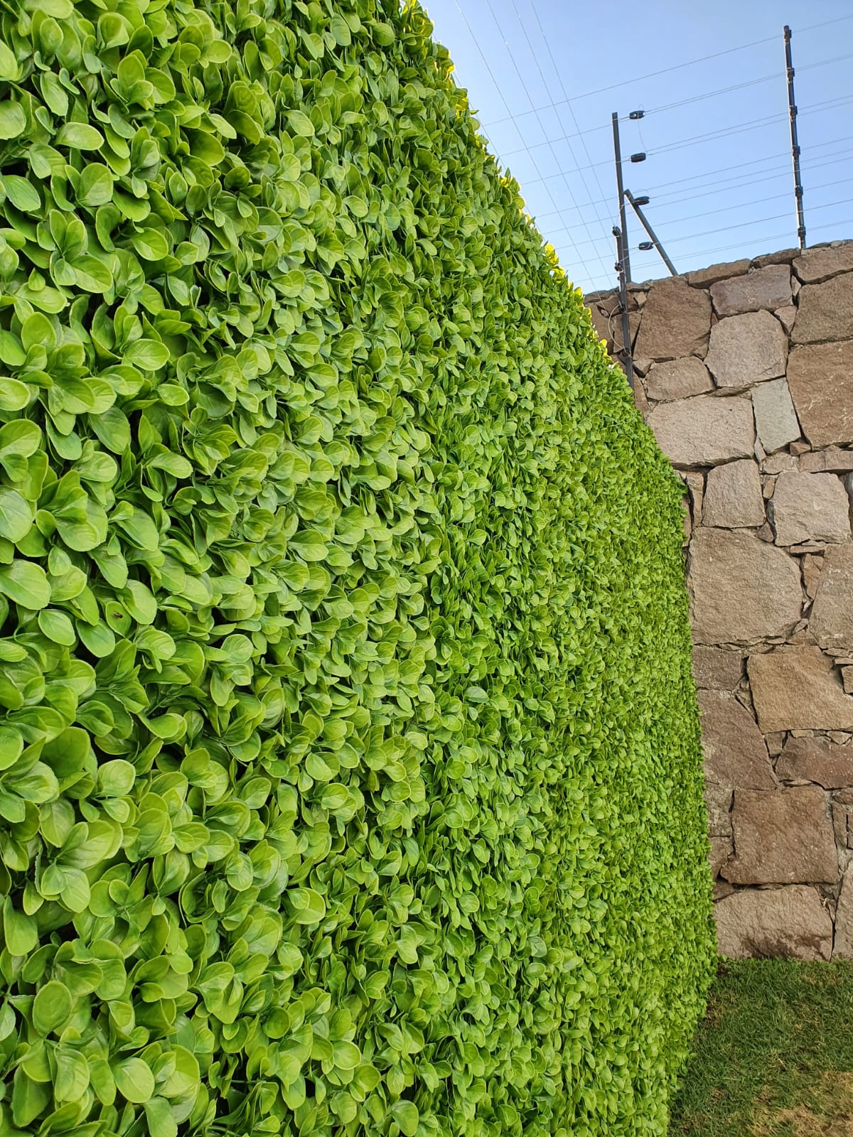 Artificial Cabo Wall Panels (Set of 4)