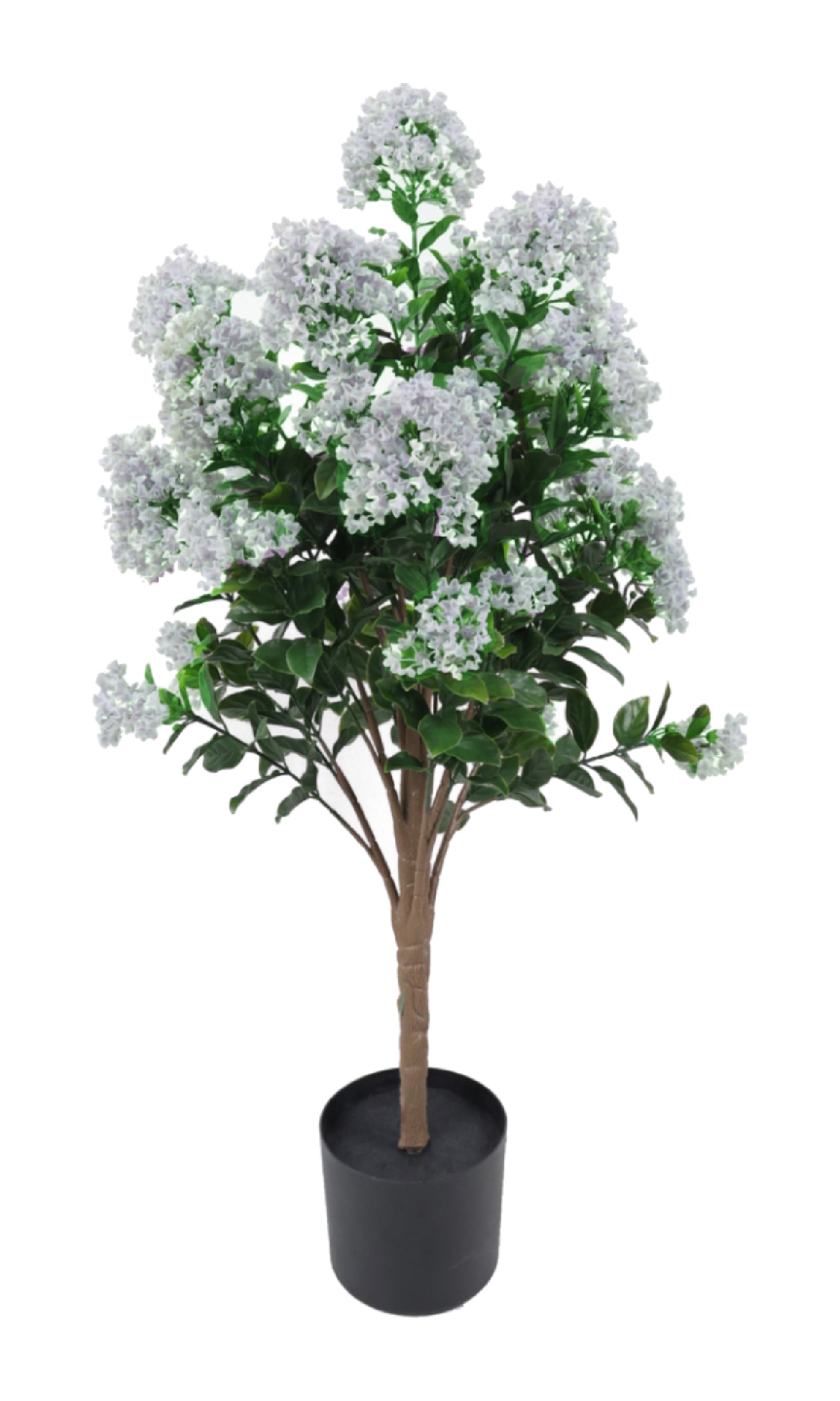 Lilac white plant weather resistant