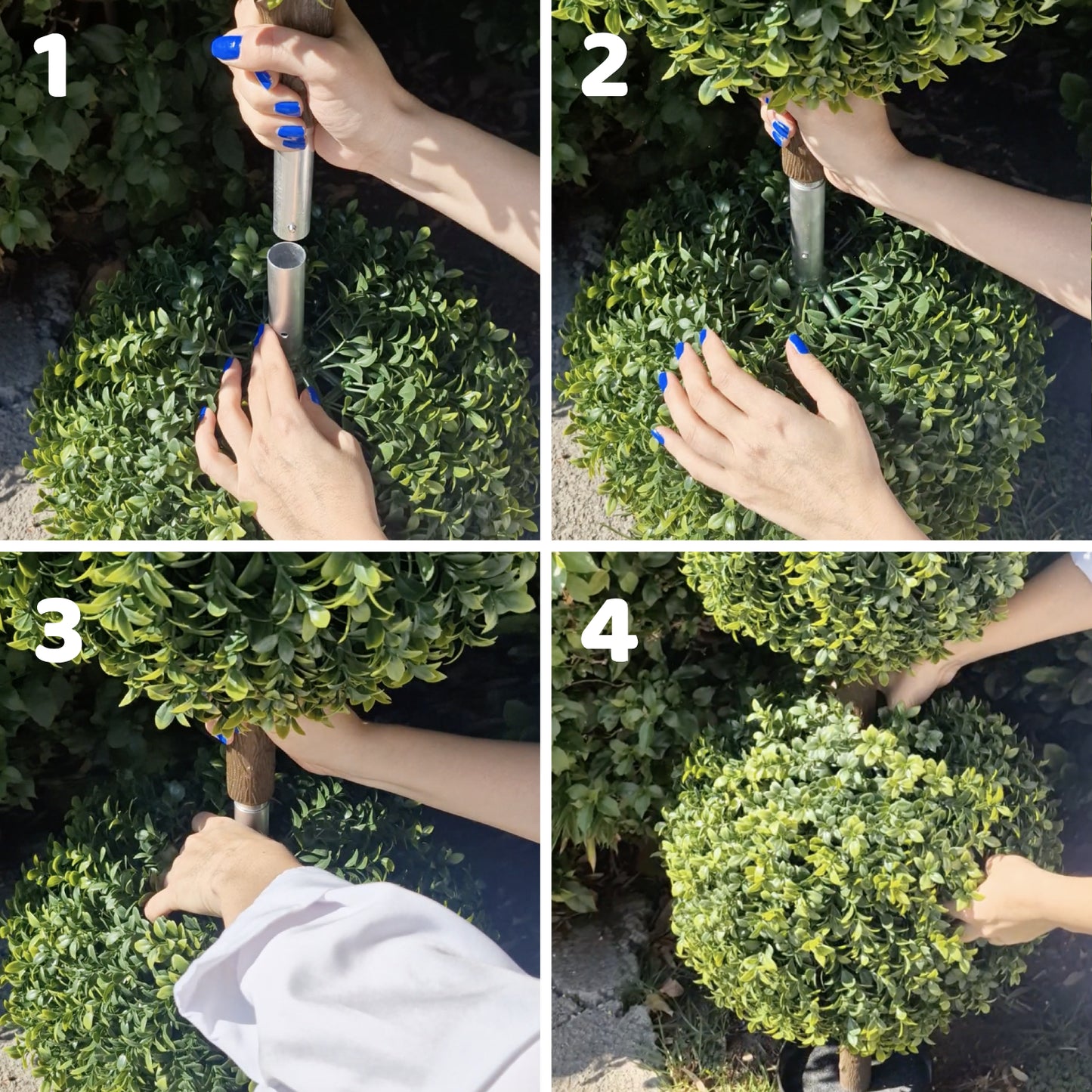 UV-Resistant_Boxwood_Tree