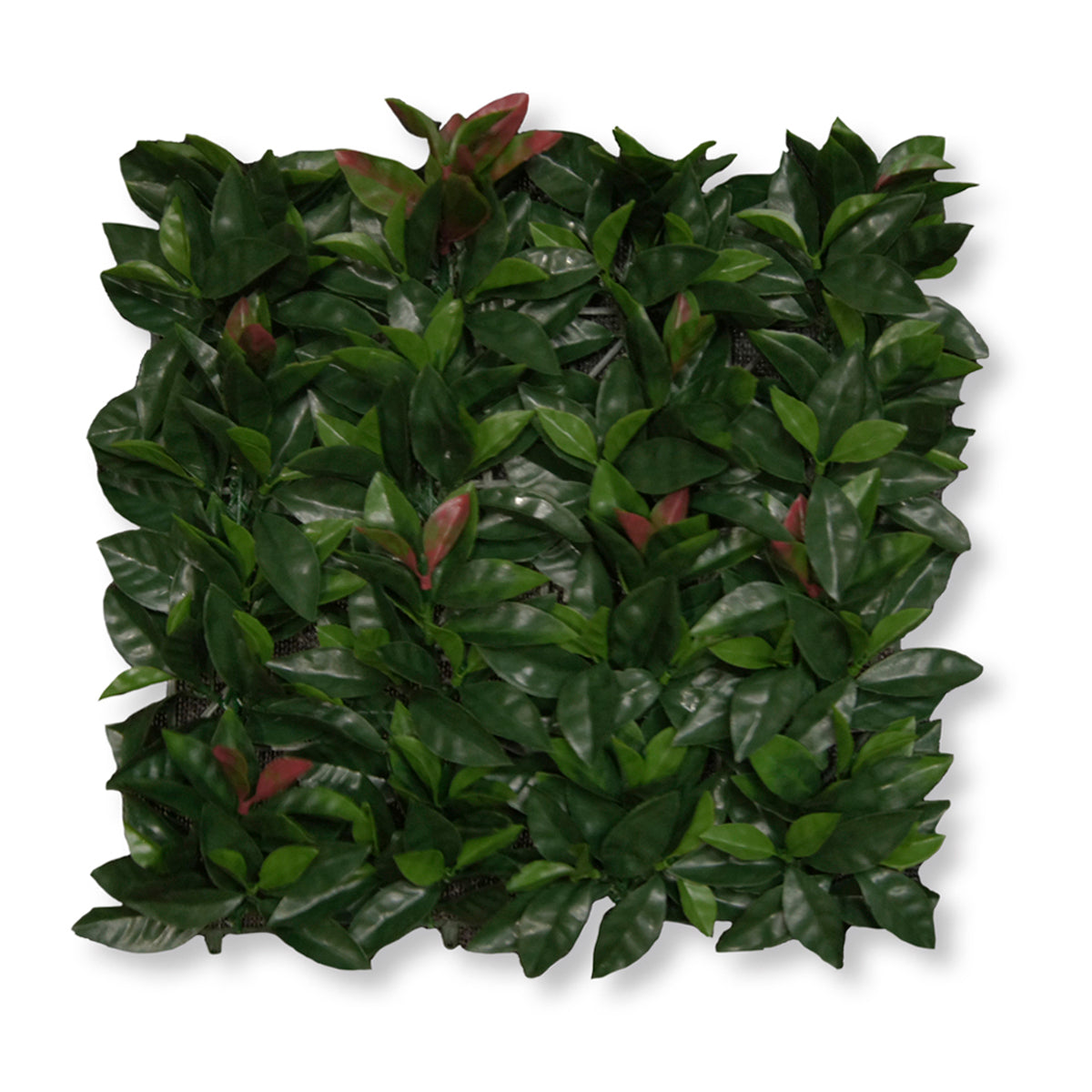 Artificial Laurel Wall Panels (Set of 4)