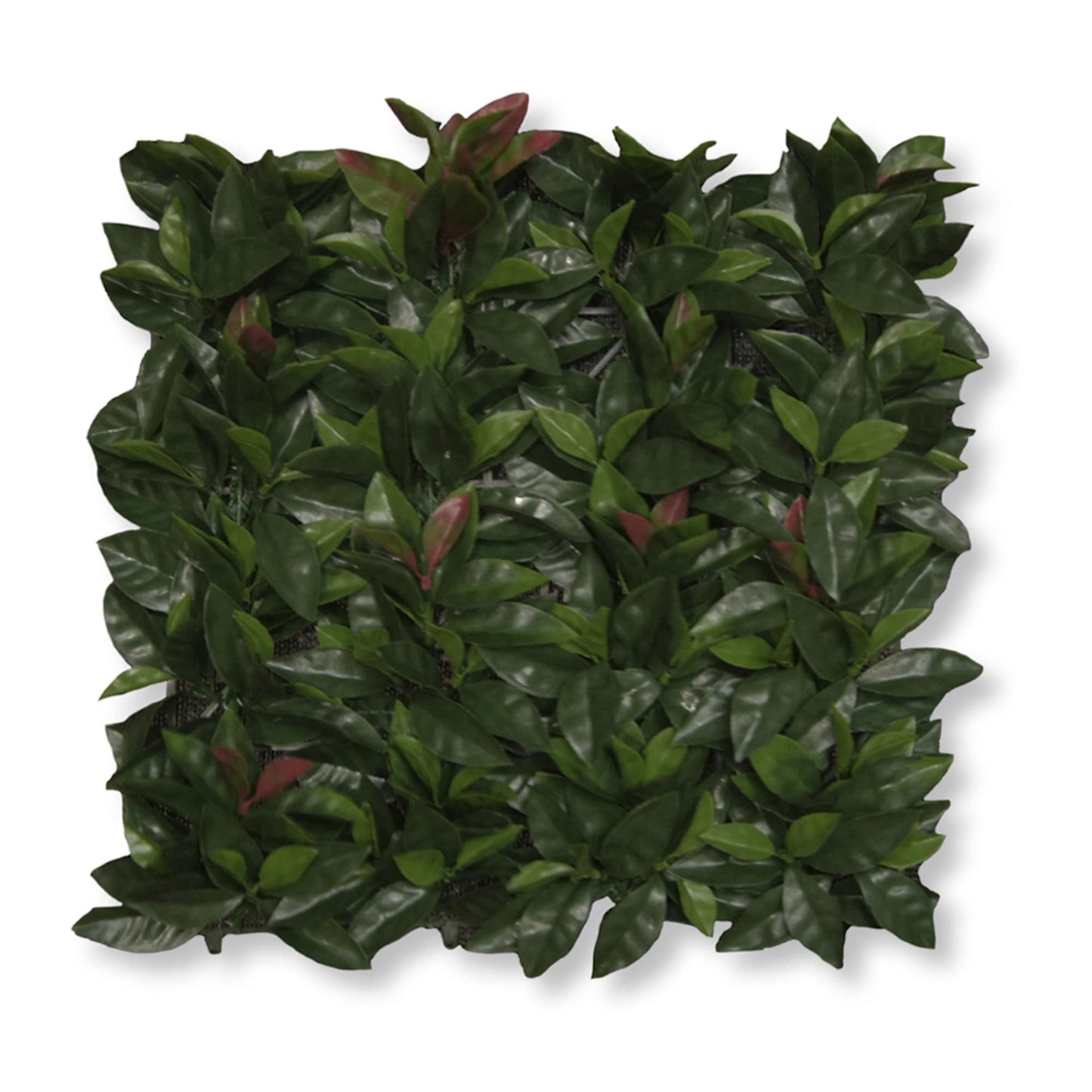 Shop - Panels 20"x20" -Set of 4