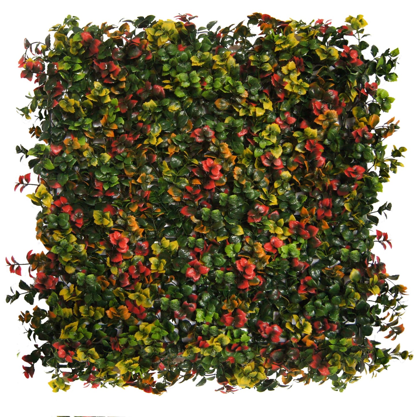 Shop - Panels 20"x20" -Set of 4