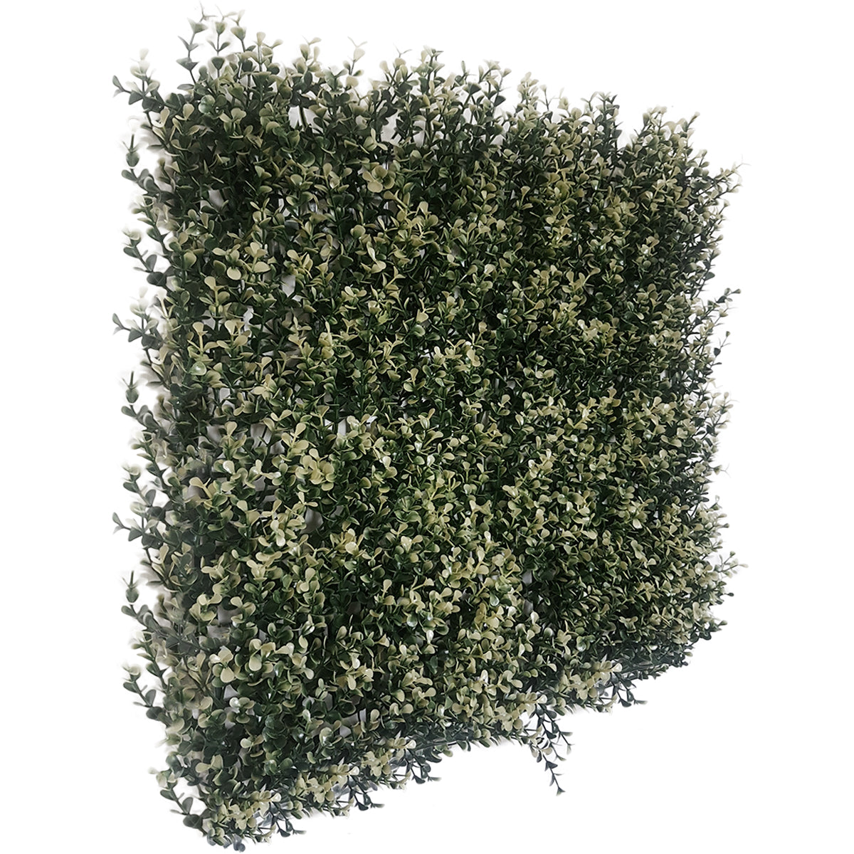 Myrtle