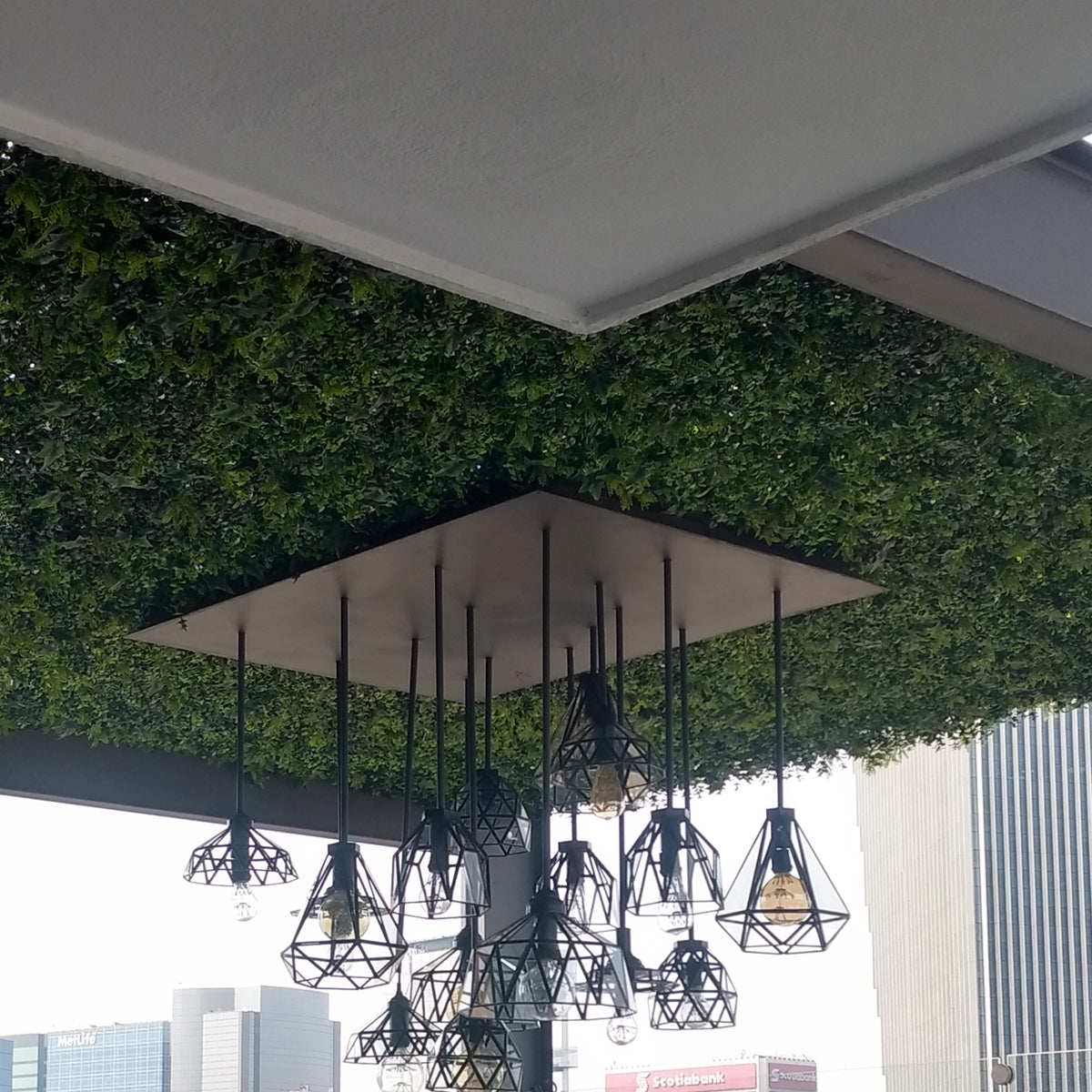 Artificial Wall Plants