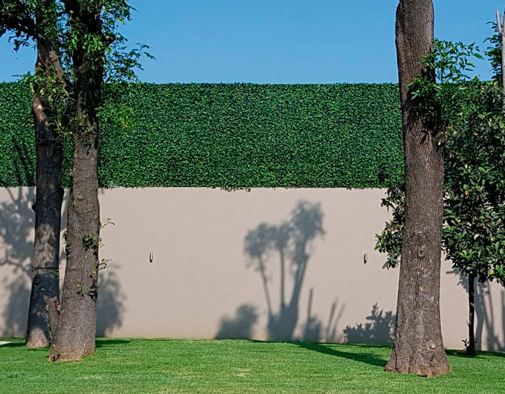Evergreen Wall