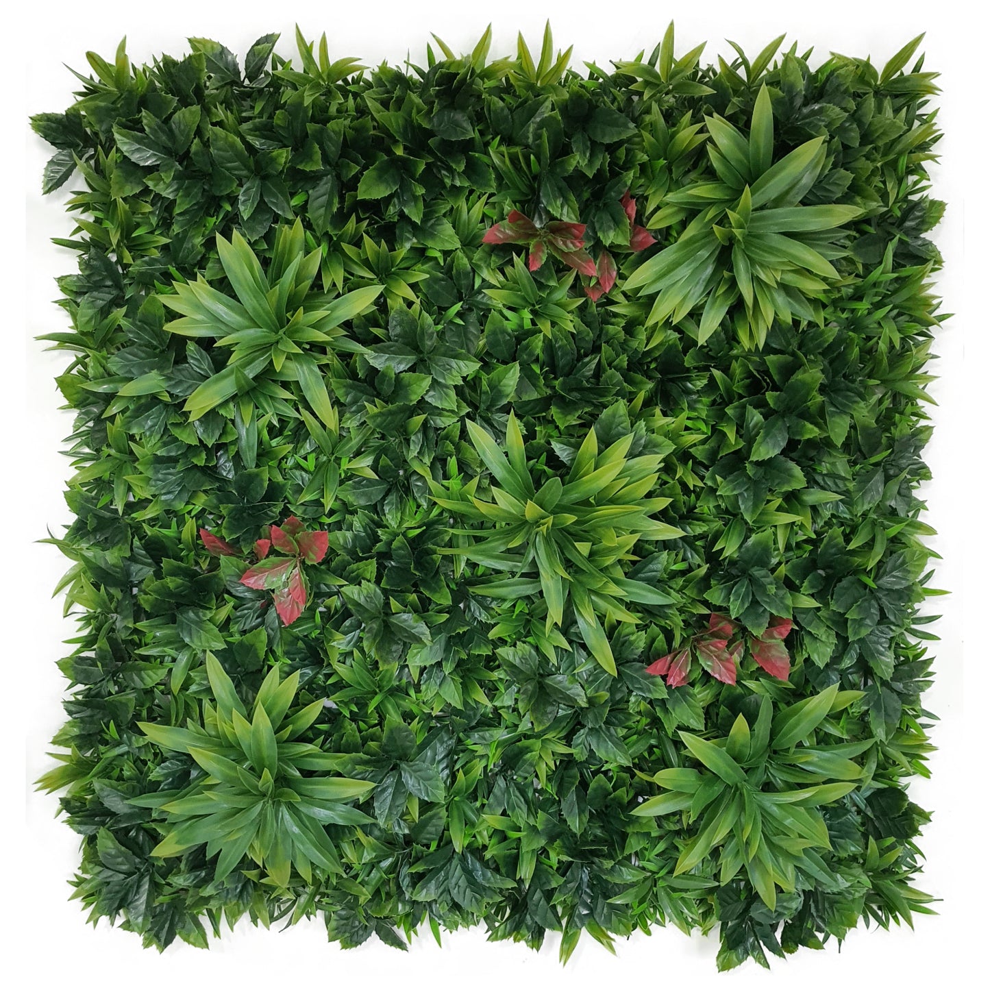 green foliage for outdoor decor