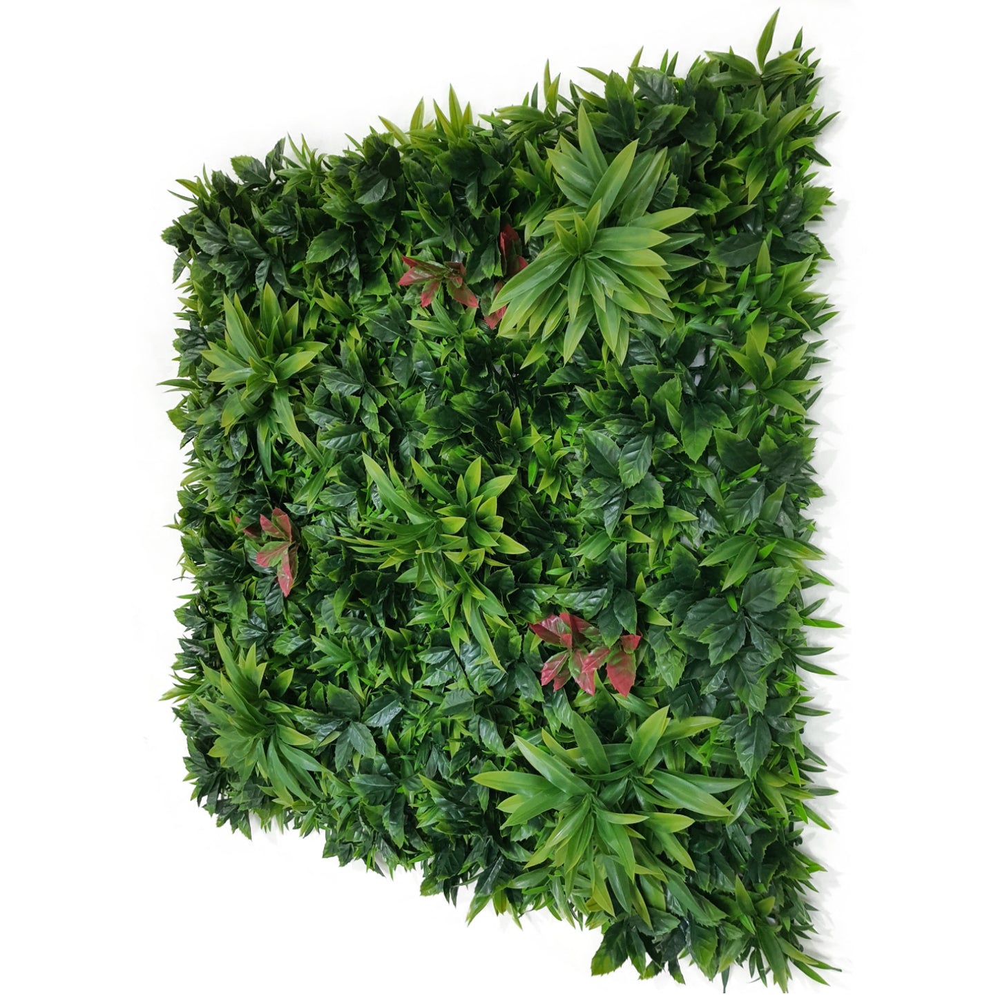 green outdoor foliage decor
