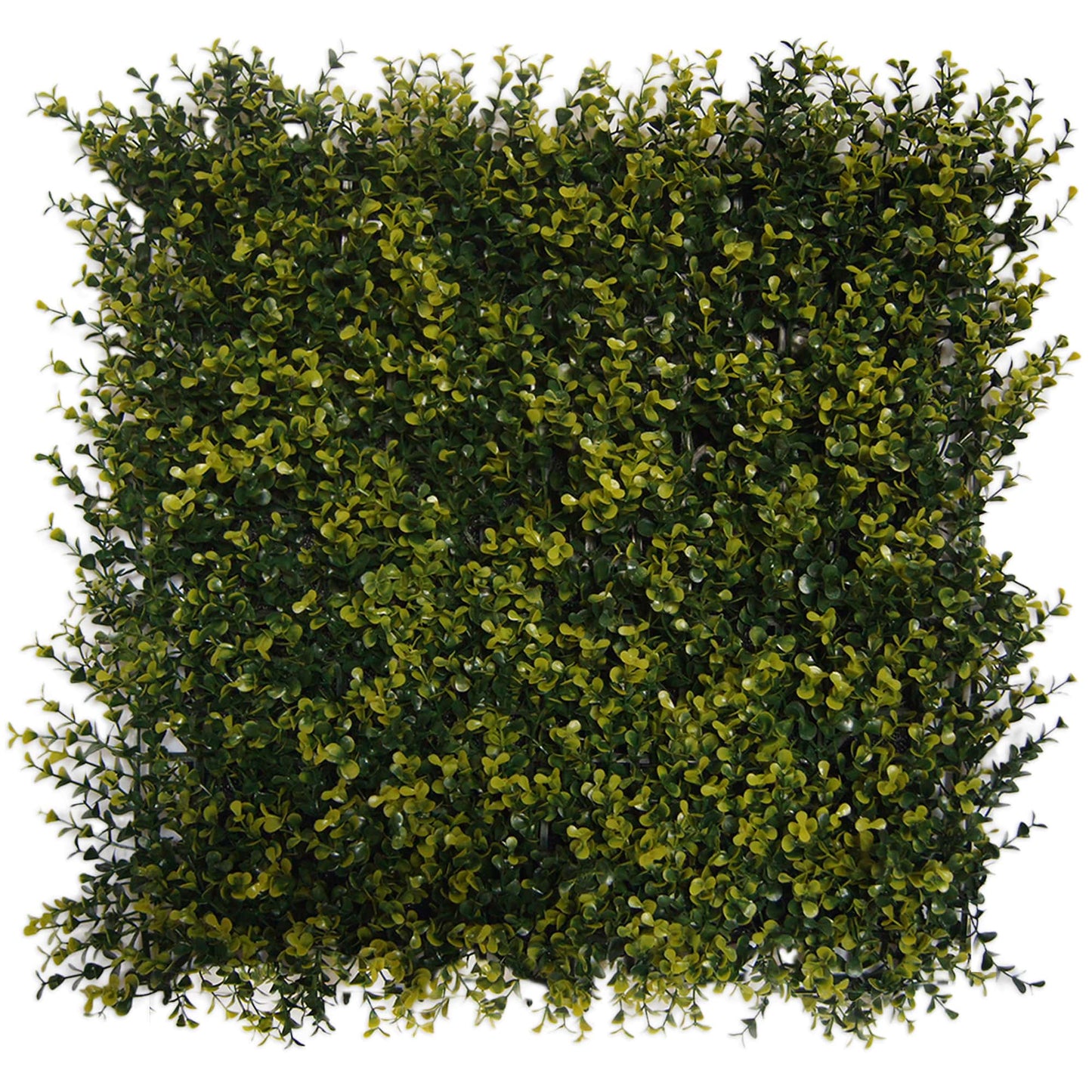 Shop - Panels 20"x20" -Set of 4