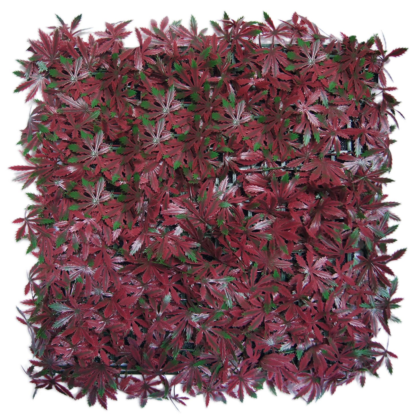 Shop - Panels 20"x20" -Set of 4