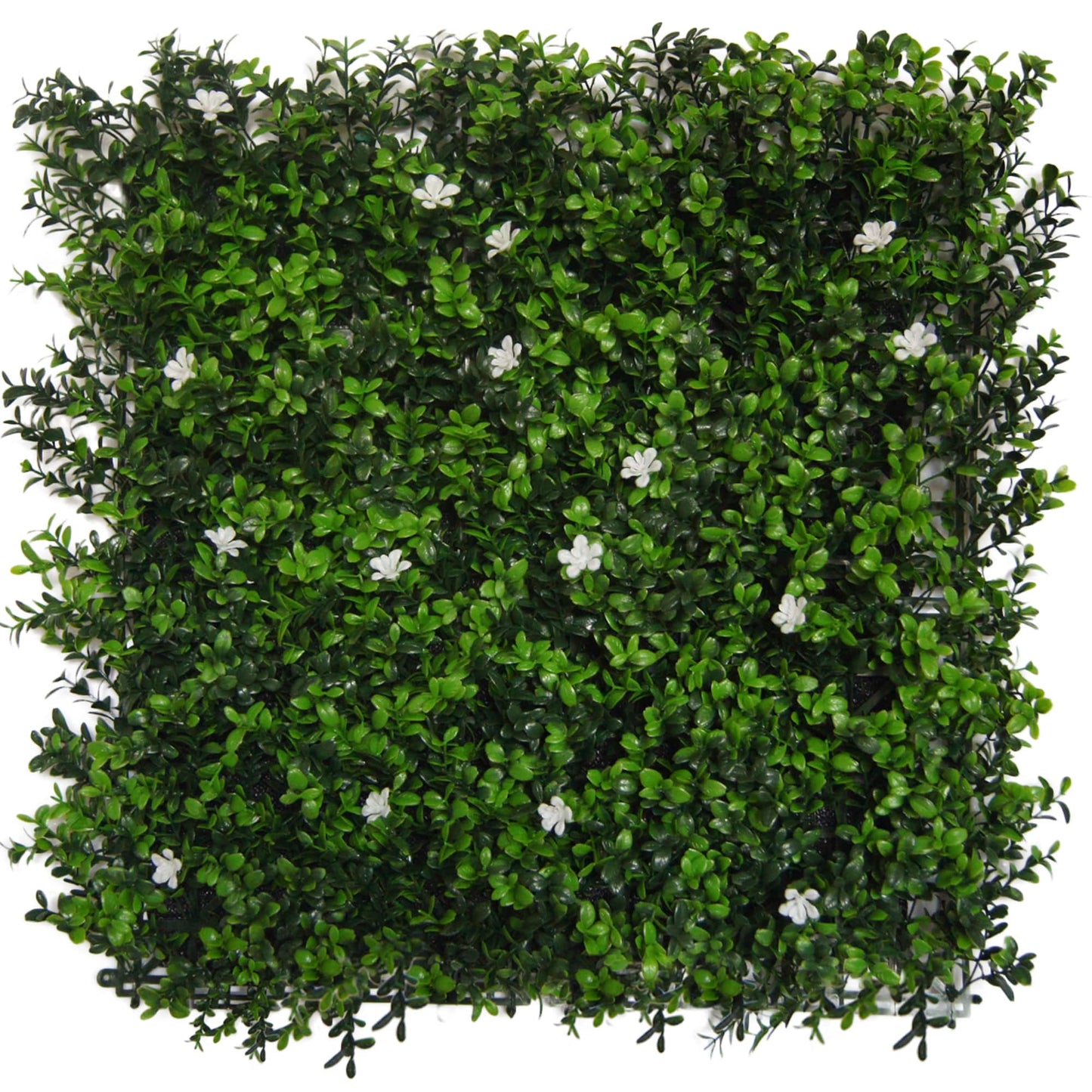 Shop - Panels 20"x20" -Set of 4