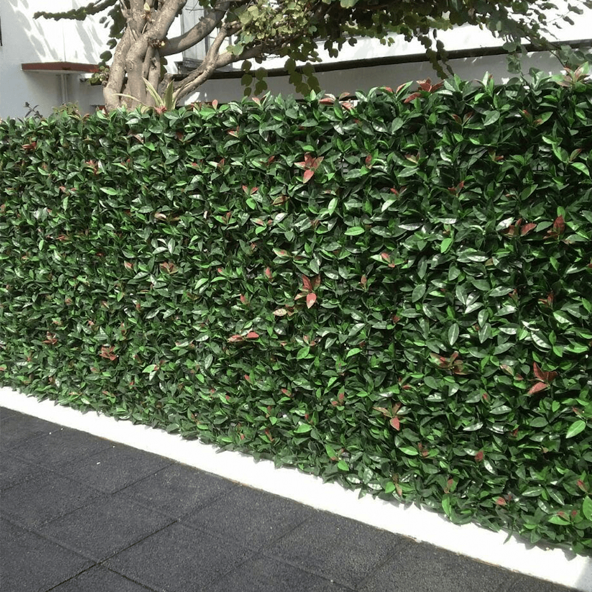 Artificial Laurel Wall Panels (Set of 4)