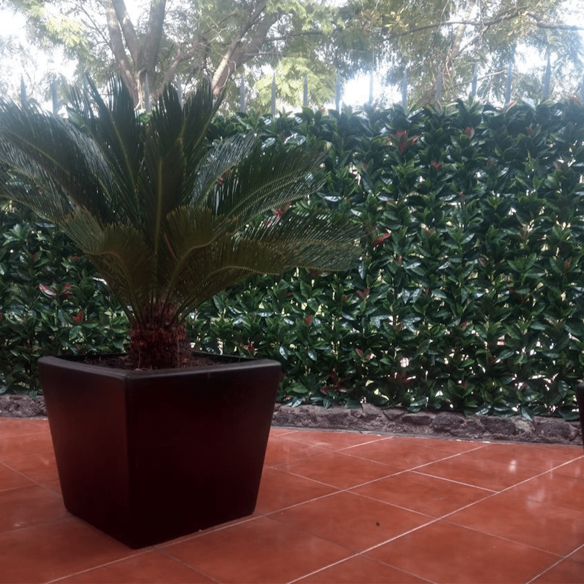 Artificial Laurel Wall Panels (Set of 4)