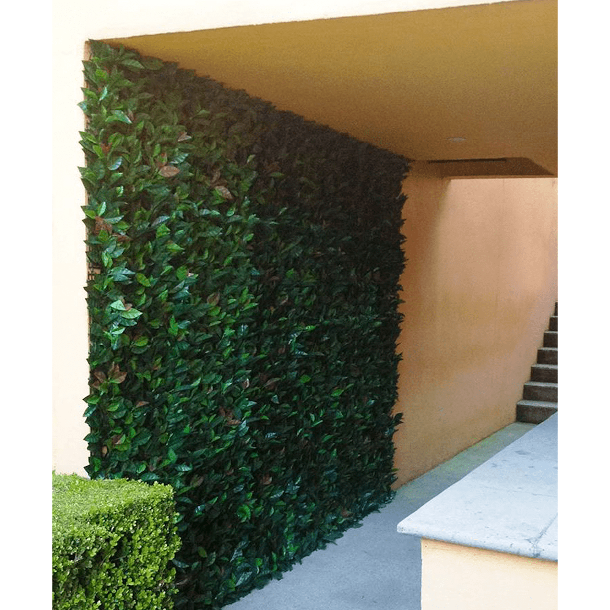 Artificial Laurel Wall Panels (Set of 4)