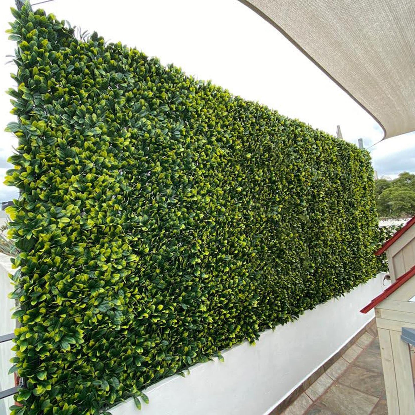 Shop - Expandable Faux Lemon Leaf Lattice Screen