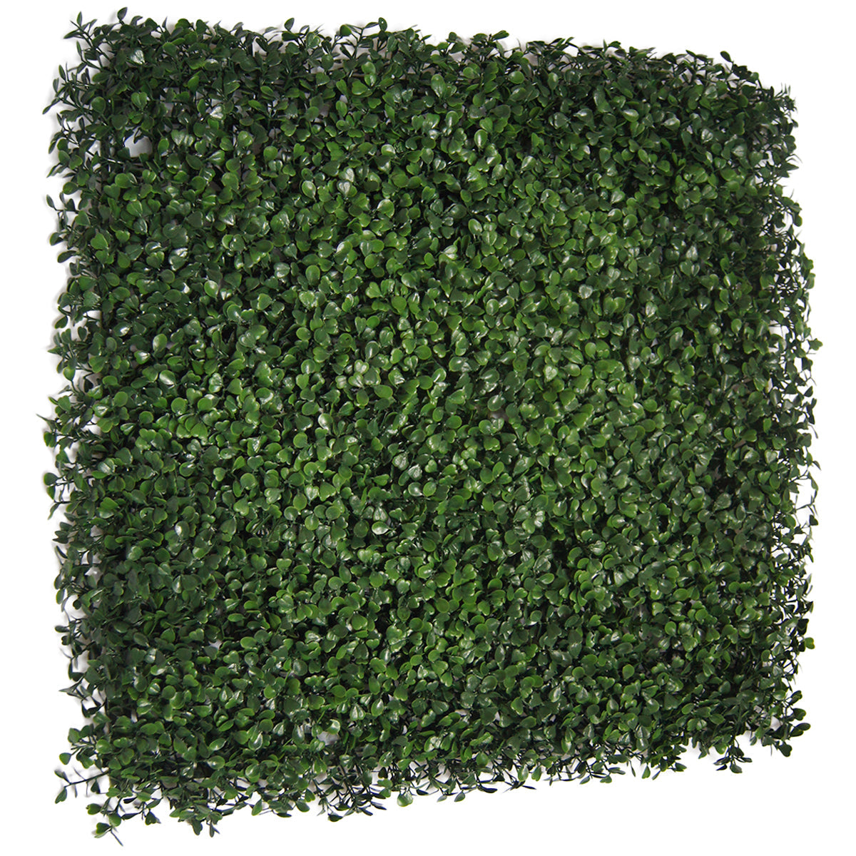 1.5 ft. H x 1.5 ft. W Artificial Ficus Fence Panel (Set of 12)