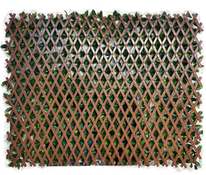 Expandable PVC Trellis Hedge 30 in. x 98 in. Artificial Leaf