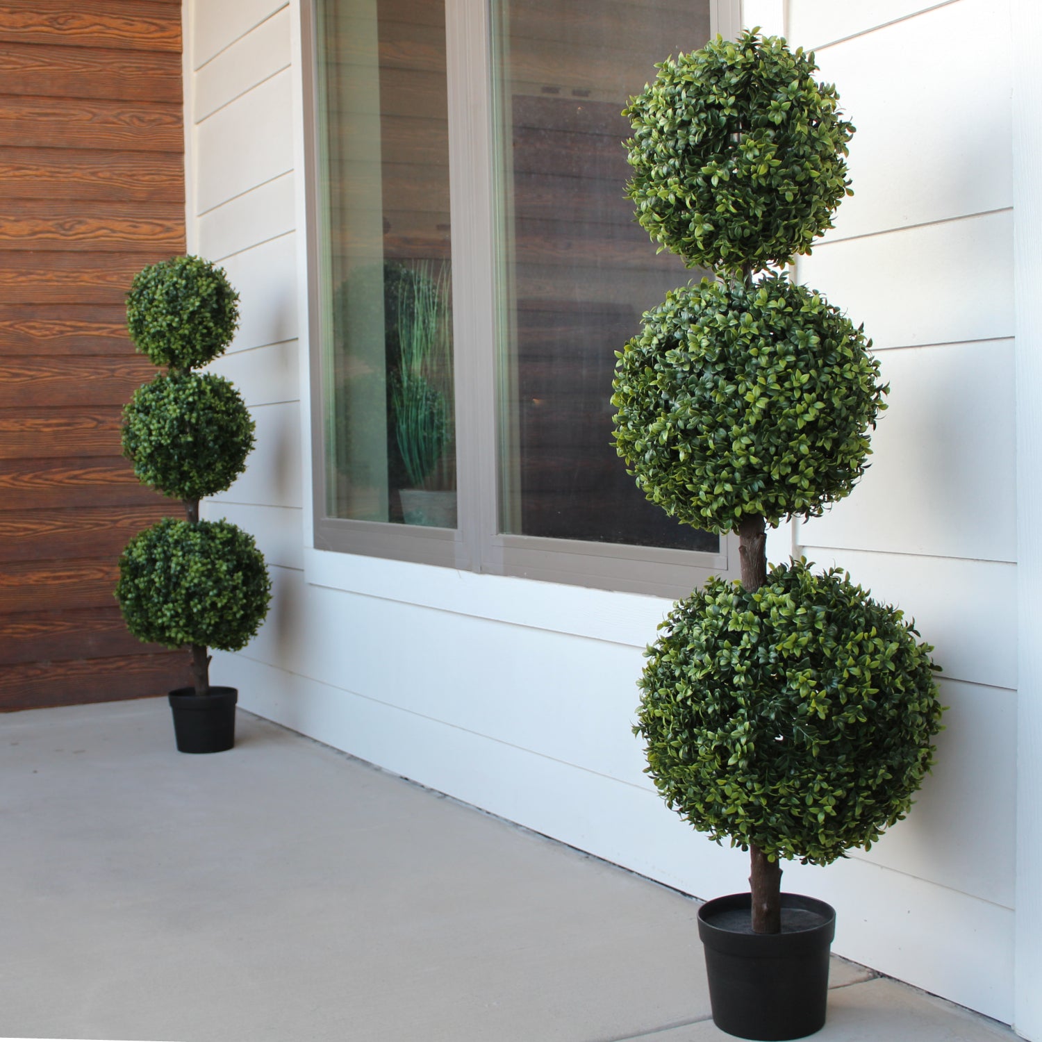 Boxwood Tree Outdoor Decoration