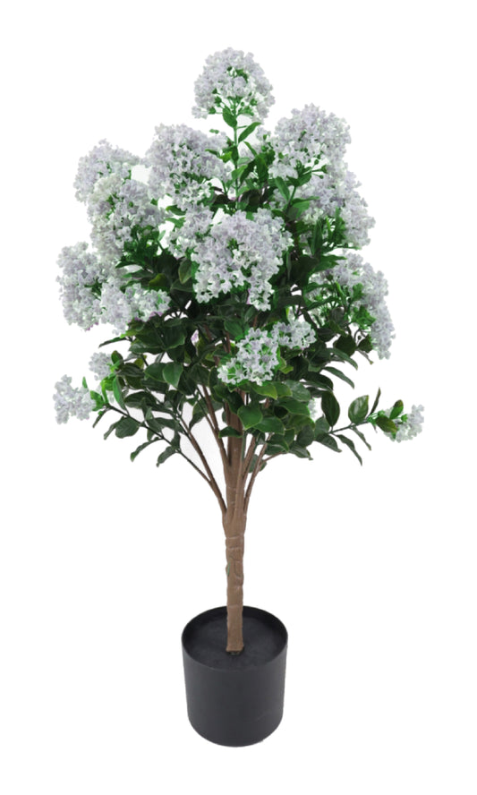 Lilac white plant weather resistant
