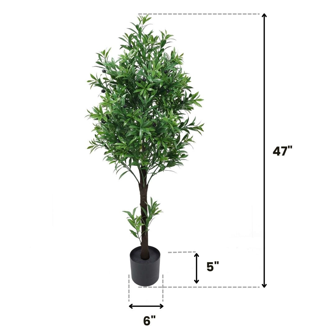 Olive Tree weather resistant