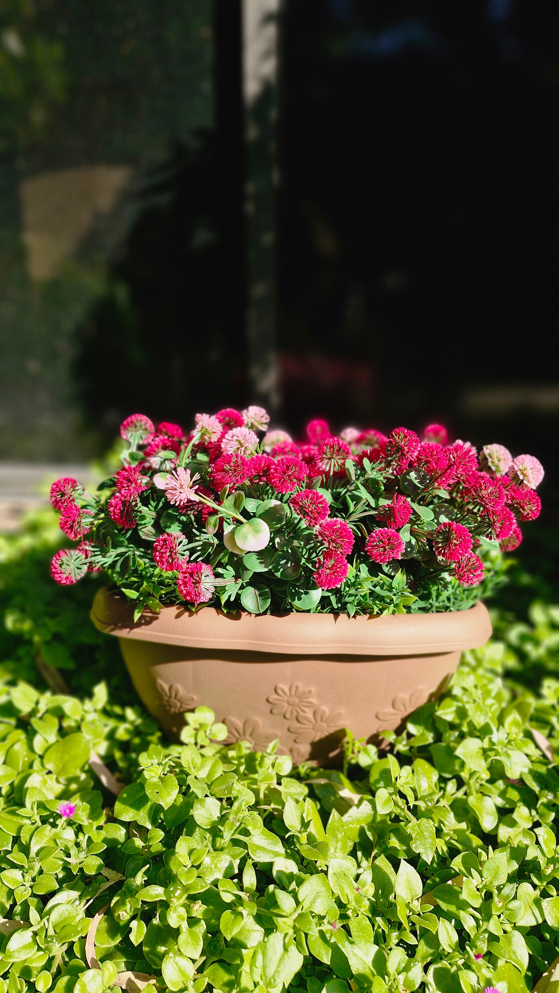 outdoor Flowers Hanging Basket