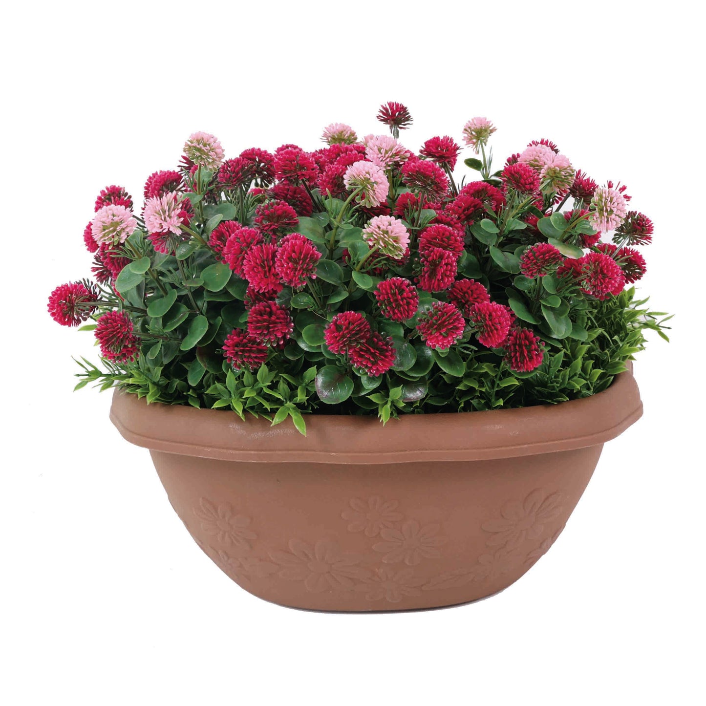 Hanging Basket Plant Decor