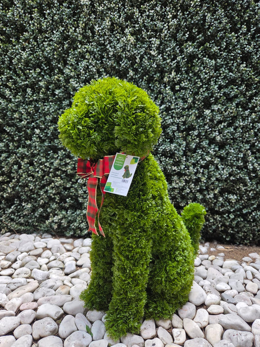 Topiary Decor Outdoor / Indoor