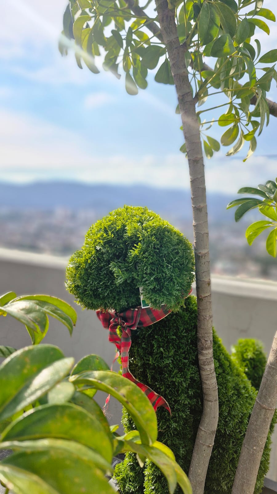 Topiary Decor Outdoor / Indoor