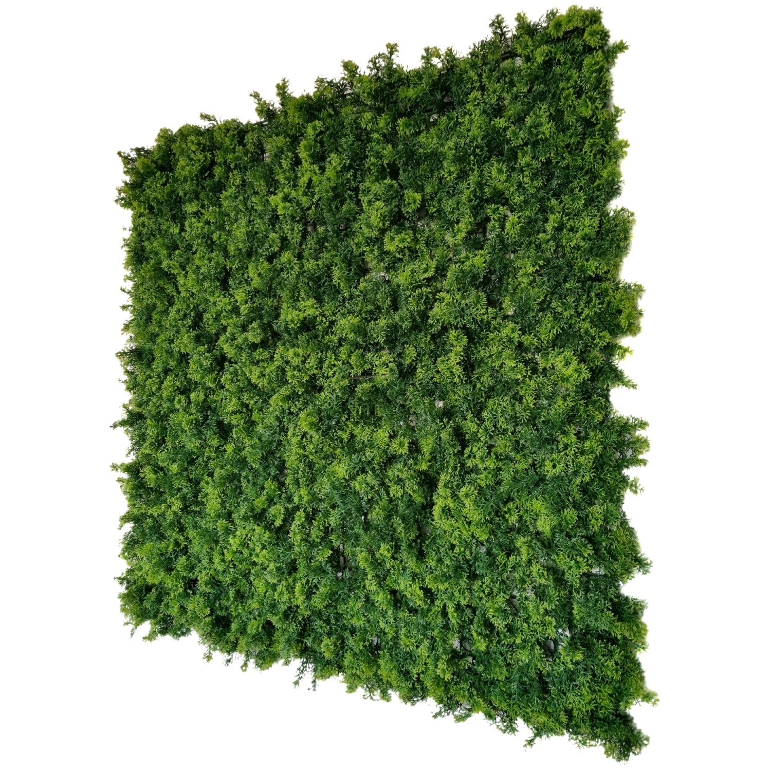 green outdoor foliage decor