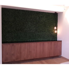 Ficus Boxwood Green Wall Panels