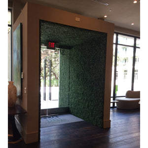 Ficus Boxwood Green Wall Panels