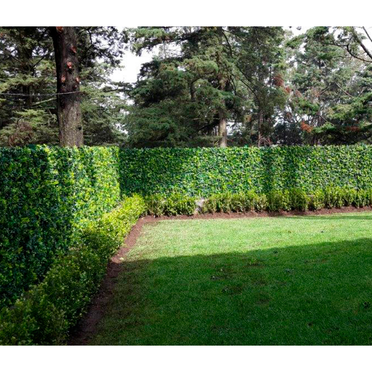 Artificial Outdoor Plants