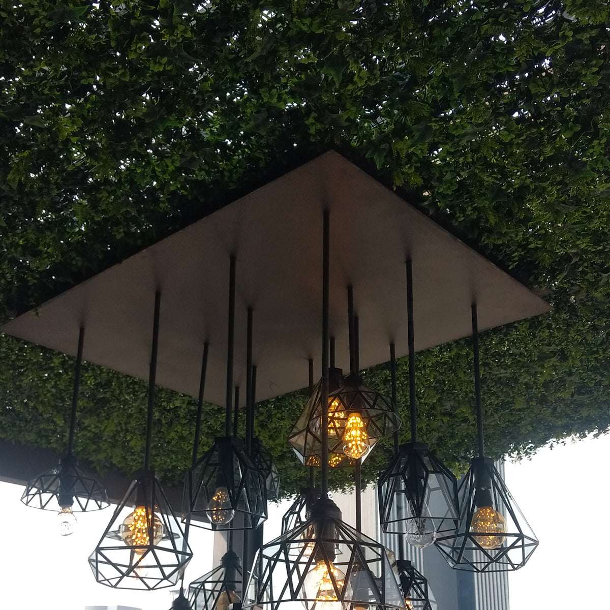 Boxwood Decor