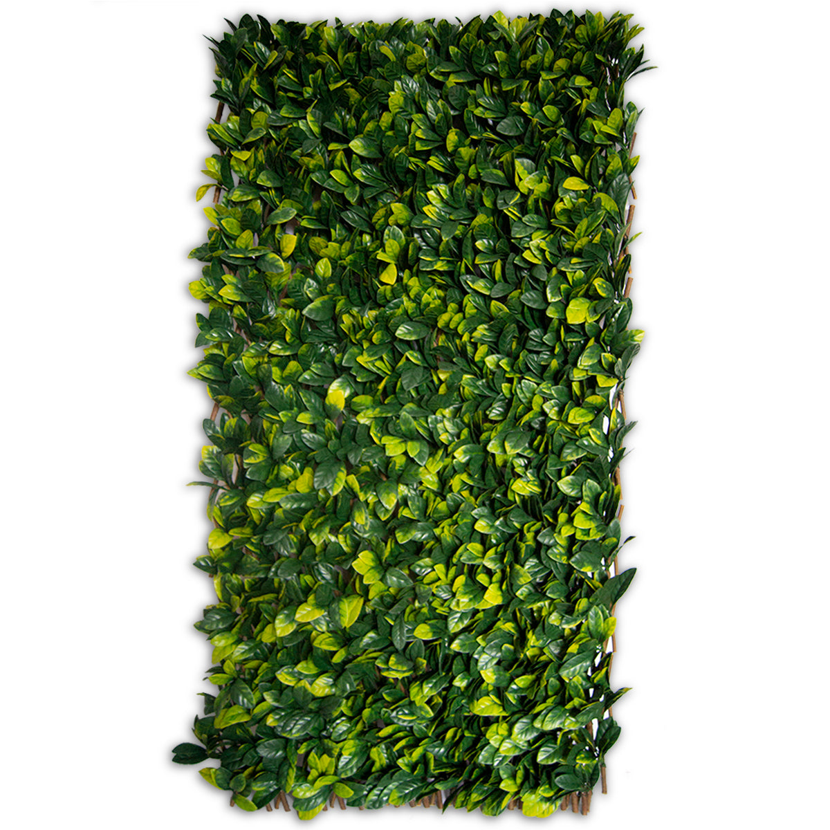 indoor plant lattice Greensmart Dekor 26 in. x 51 in. Expandable Faux Lemon Leaf Lattice Screen