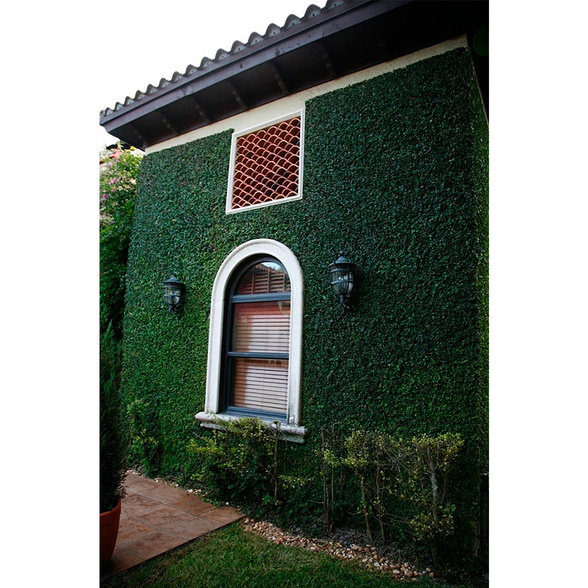 green outdoor foliage decor