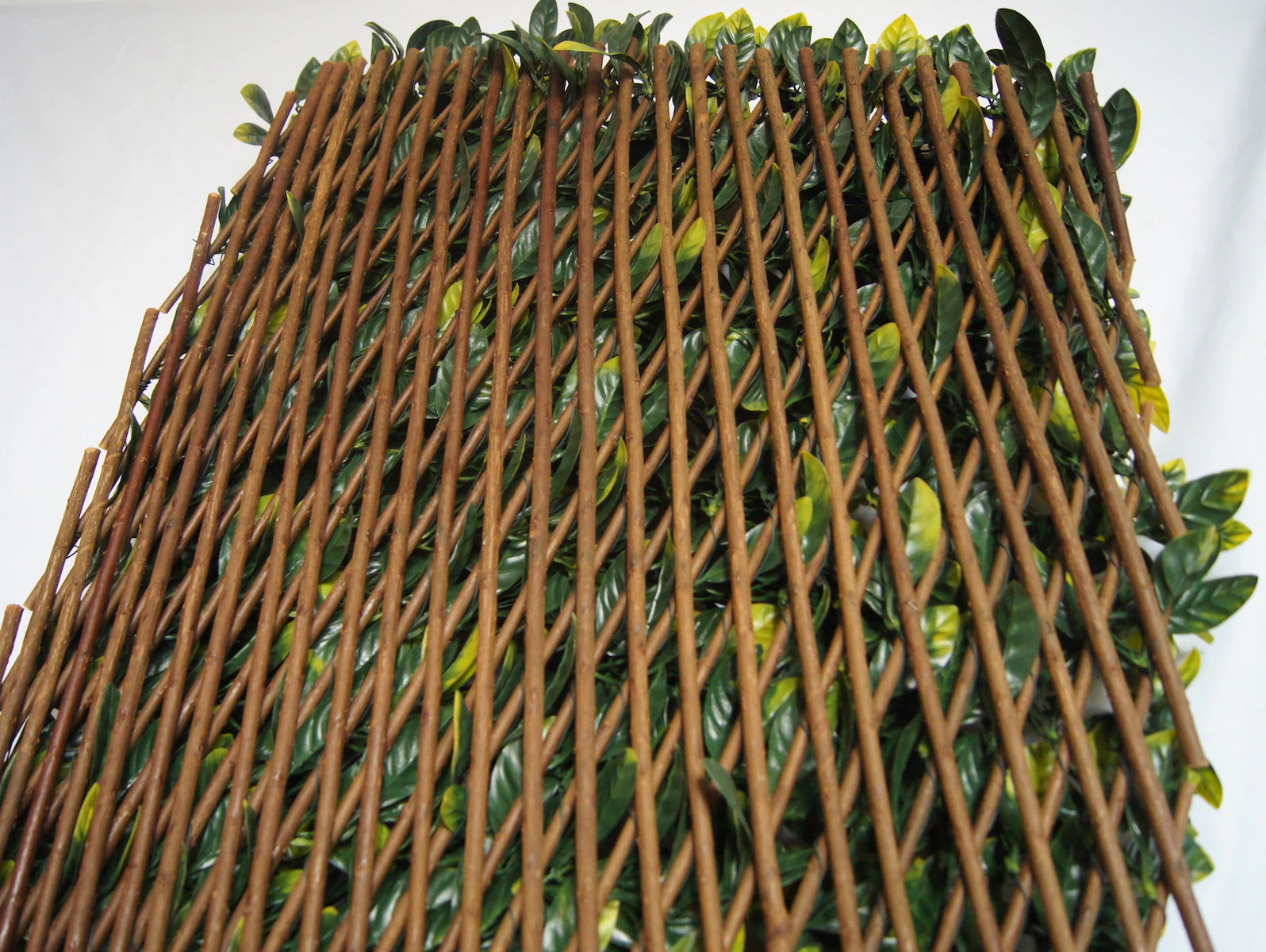 Grass decoration wall